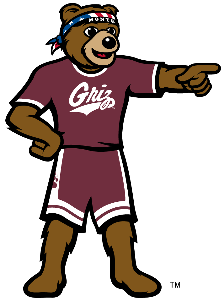 Montana Grizzlies 2010-Pres Mascot Logo v5 DIY iron on transfer (heat transfer)